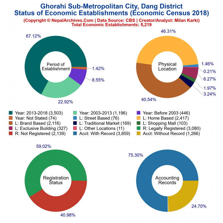 NEC 2018 Economic Establishments Charts of Ghorahi Sub-Metropolitan City