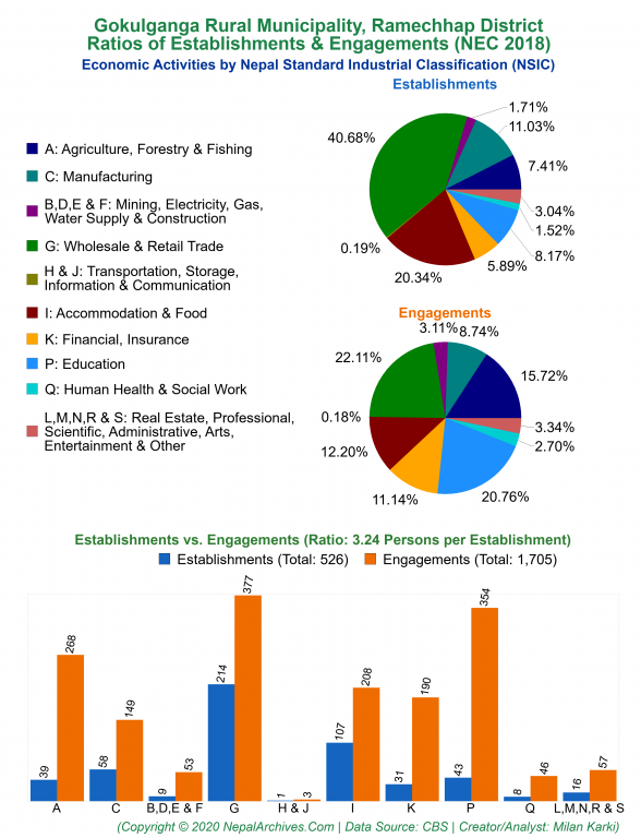 Economic Activities by NSIC Charts of Gokulganga Rural Municipality