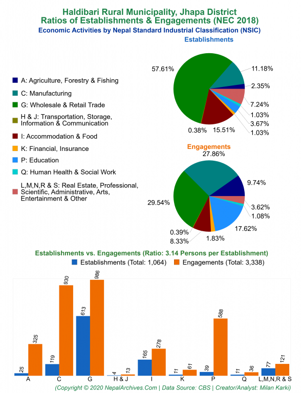 Economic Activities by NSIC Charts of Haldibari Rural Municipality
