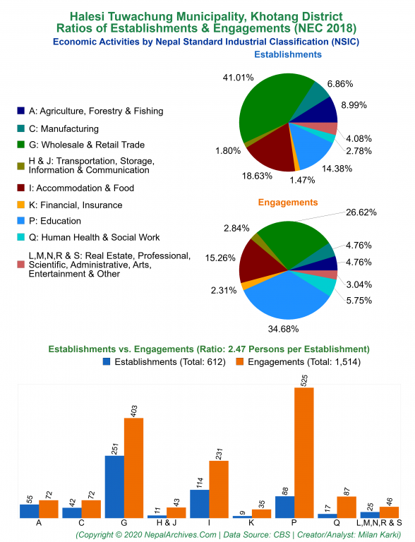 Economic Activities by NSIC Charts of Halesi Tuwachung Municipality