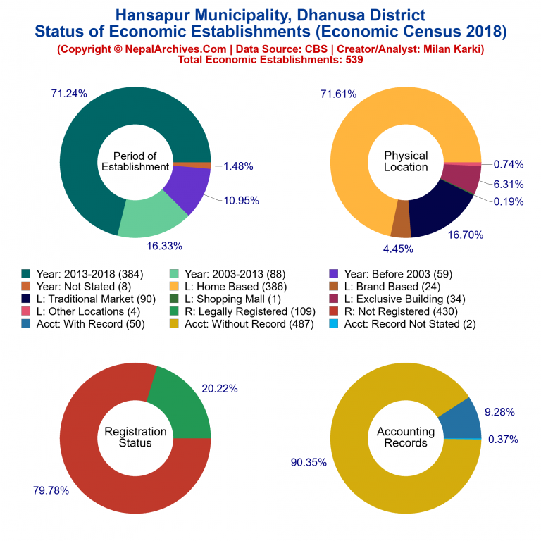 NEC 2018 Economic Establishments Charts of Hansapur Municipality
