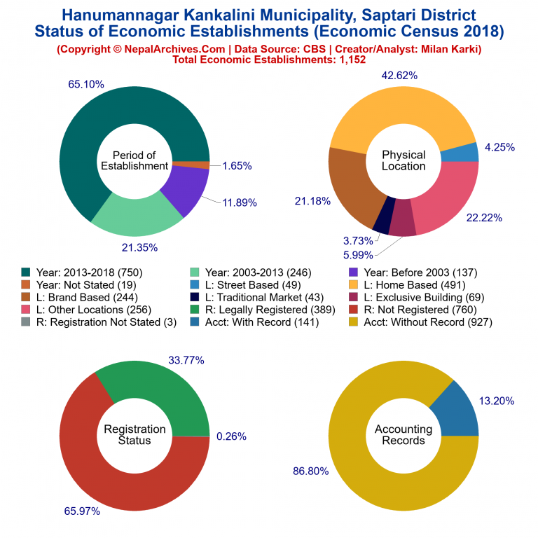 NEC 2018 Economic Establishments Charts of Hanumannagar Kankalini Municipality