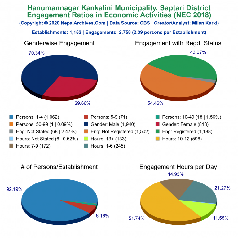 NEC 2018 Economic Engagements Charts of Hanumannagar Kankalini Municipality