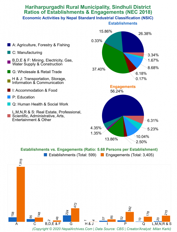 Economic Activities by NSIC Charts of Hariharpurgadhi Rural Municipality