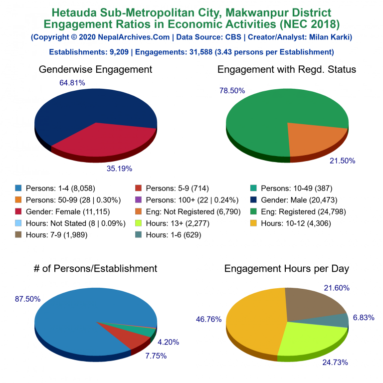 NEC 2018 Economic Engagements Charts of Hetauda Sub-Metropolitan City