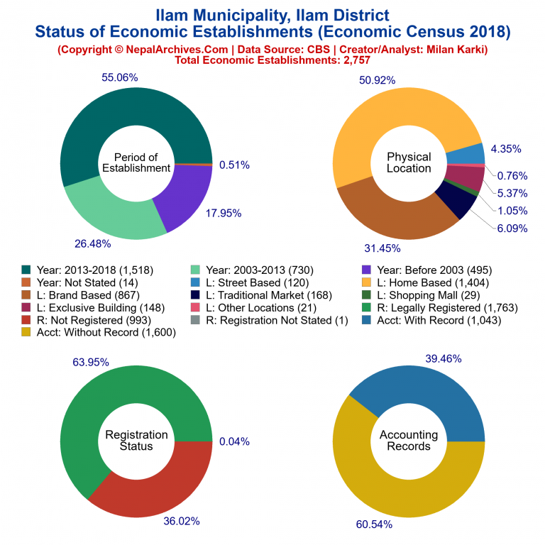 NEC 2018 Economic Establishments Charts of Ilam Municipality