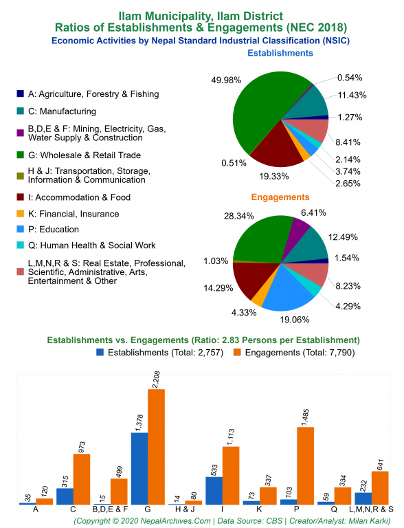 Economic Activities by NSIC Charts of Ilam Municipality