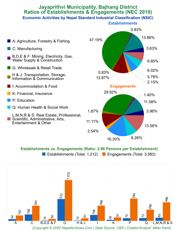 Economic Activities by NSIC Charts of Jayaprithvi Municipality
