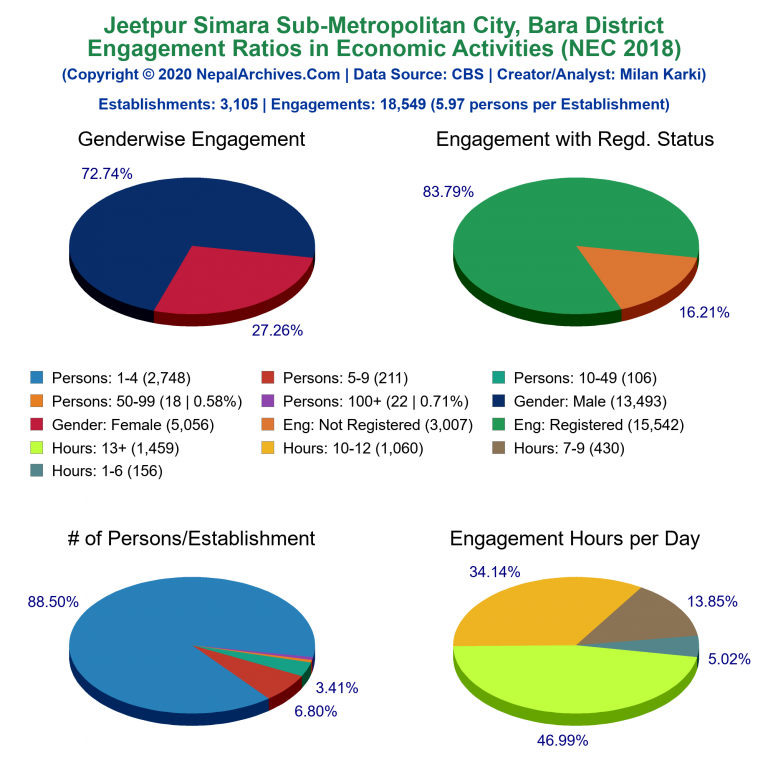 NEC 2018 Economic Engagements Charts of Jeetpur Simara Sub-Metropolitan City