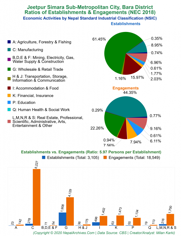 Economic Activities by NSIC Charts of Jeetpur Simara Sub-Metropolitan City