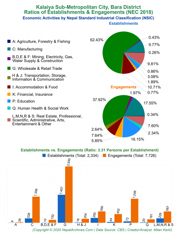 Economic Activities by NSIC Charts of Kalaiya Sub-Metropolitan City