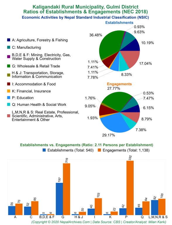 Economic Activities by NSIC Charts of Kaligandaki Rural Municipality