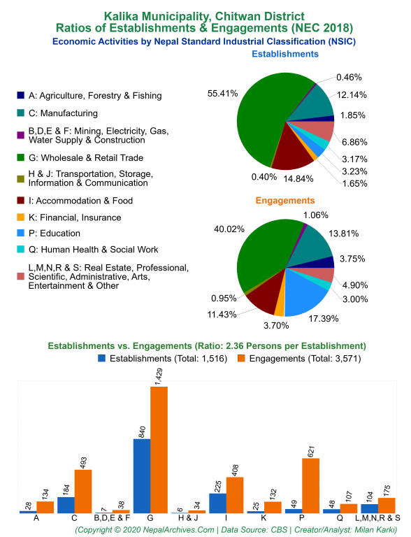Economic Activities by NSIC Charts of Kalika Municipality