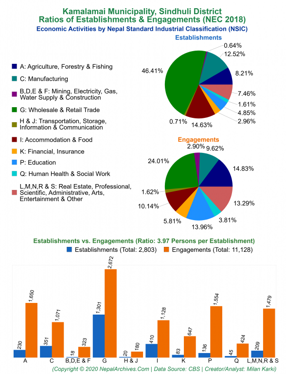 Economic Activities by NSIC Charts of Kamalamai Municipality
