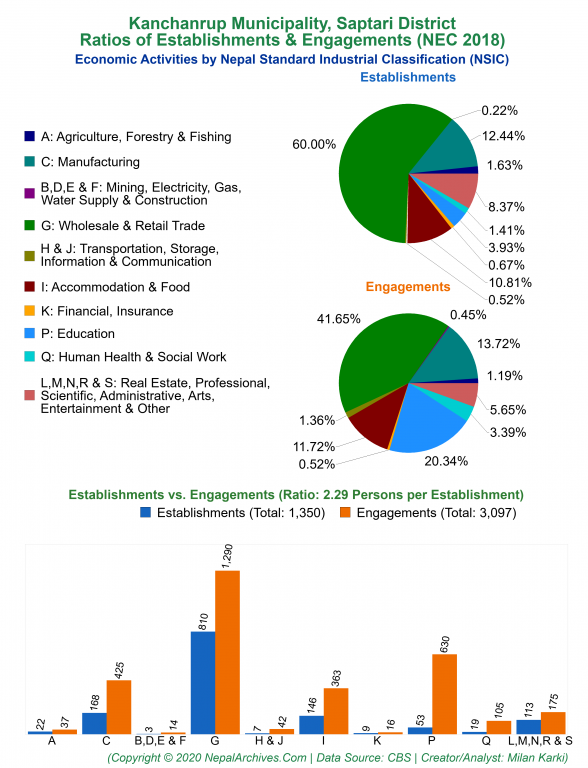 Economic Activities by NSIC Charts of Kanchanrup Municipality