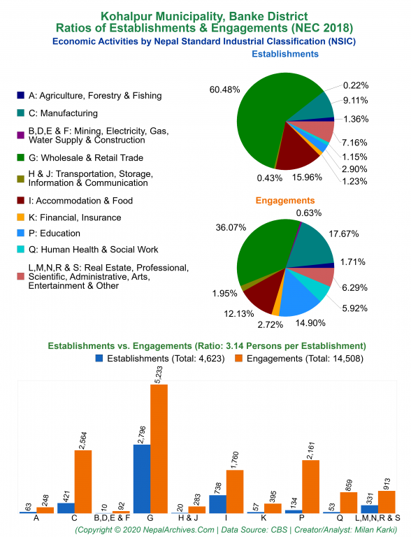 Economic Activities by NSIC Charts of Kohalpur Municipality