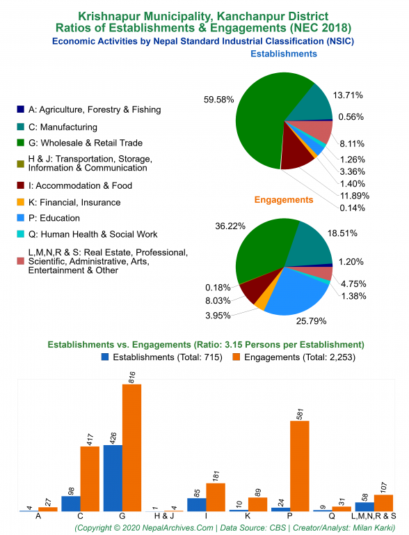 Economic Activities by NSIC Charts of Krishnapur Municipality