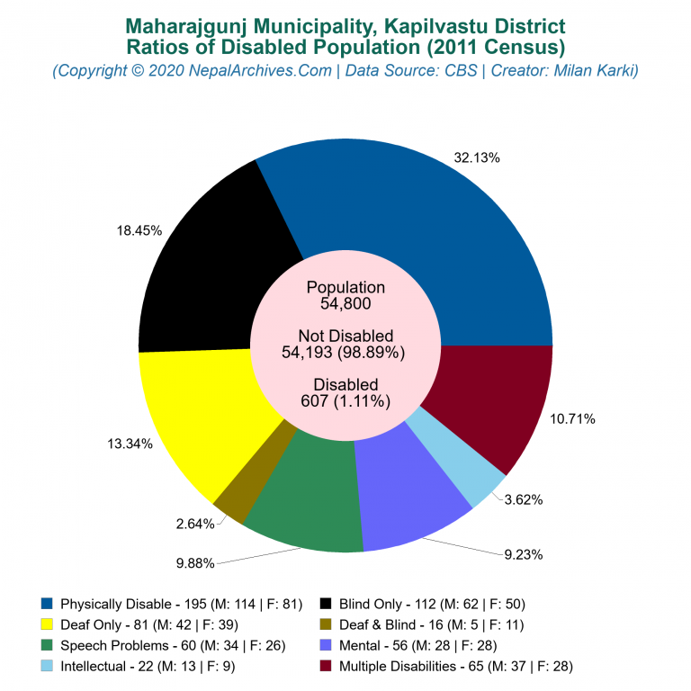 Disabled Population Charts of Maharajgunj Municipality