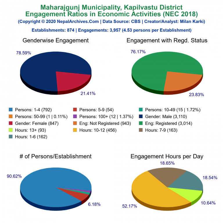 NEC 2018 Economic Engagements Charts of Maharajgunj Municipality