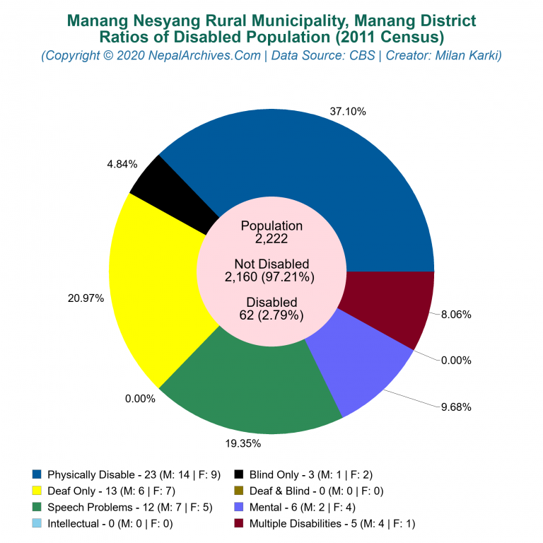 Disabled Population Charts of Manang Nesyang Rural Municipality