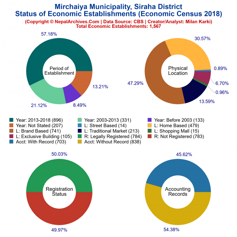 NEC 2018 Economic Establishments Charts of Mirchaiya Municipality