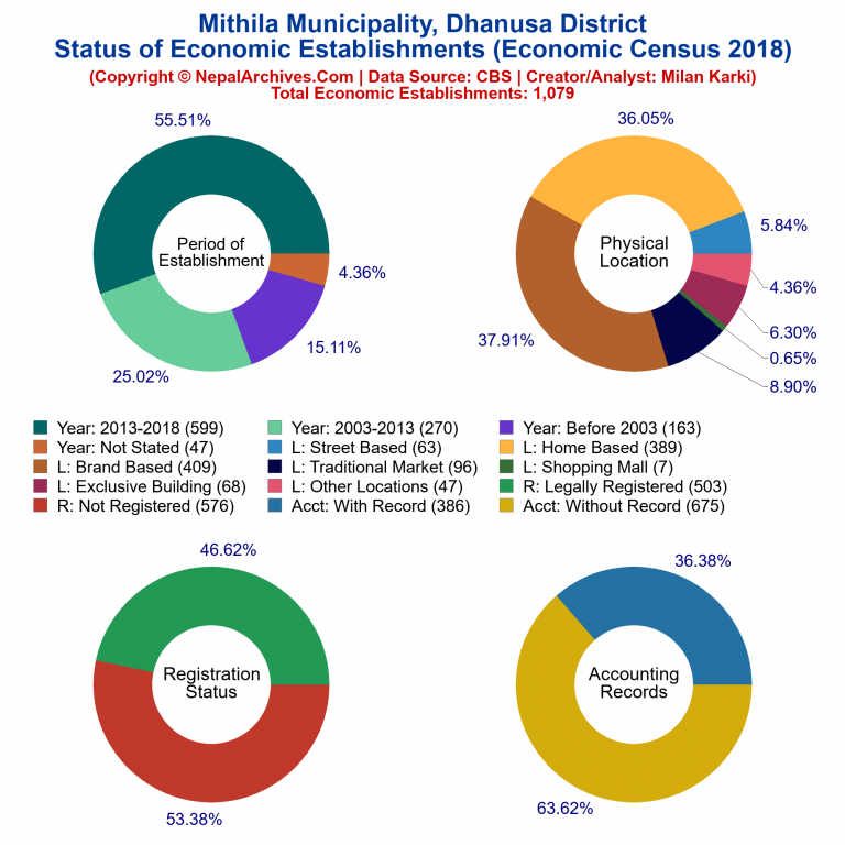 NEC 2018 Economic Establishments Charts of Mithila Municipality