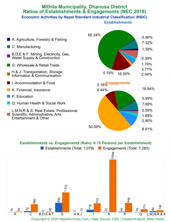Economic Activities by NSIC Charts of Mithila Municipality