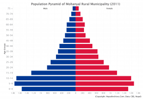 Population Pyramid of Mohanyal Rural Municipality, Kailali District (2011 Census)