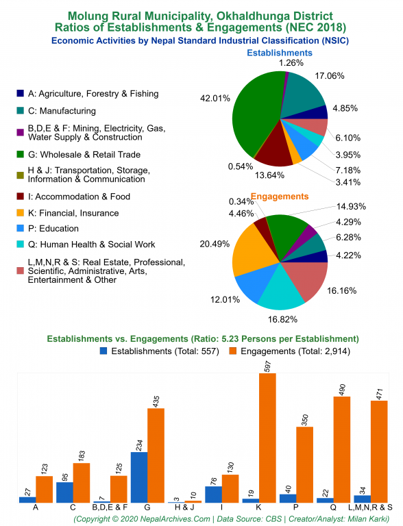 Economic Activities by NSIC Charts of Molung Rural Municipality