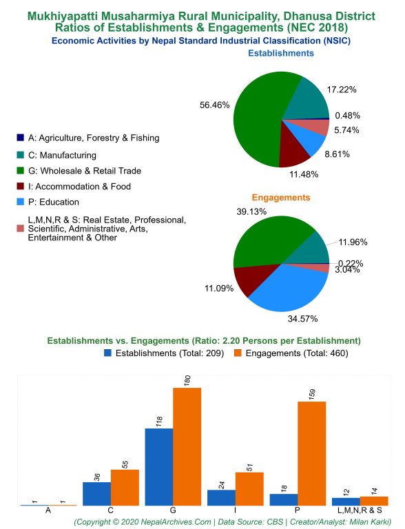 Economic Activities by NSIC Charts of Mukhiyapatti Musaharmiya Rural Municipality