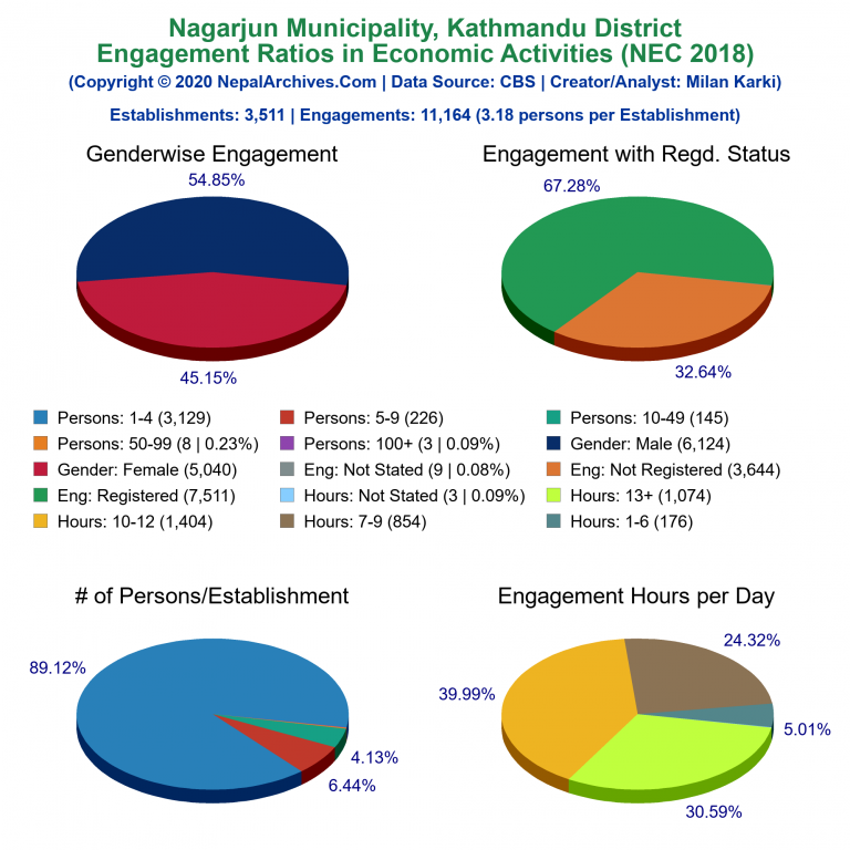 NEC 2018 Economic Engagements Charts of Nagarjun Municipality