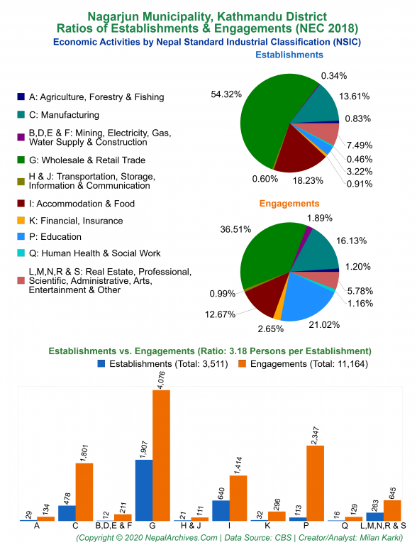 Economic Activities by NSIC Charts of Nagarjun Municipality