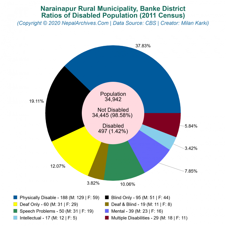 Disabled Population Charts of Narainapur Rural Municipality