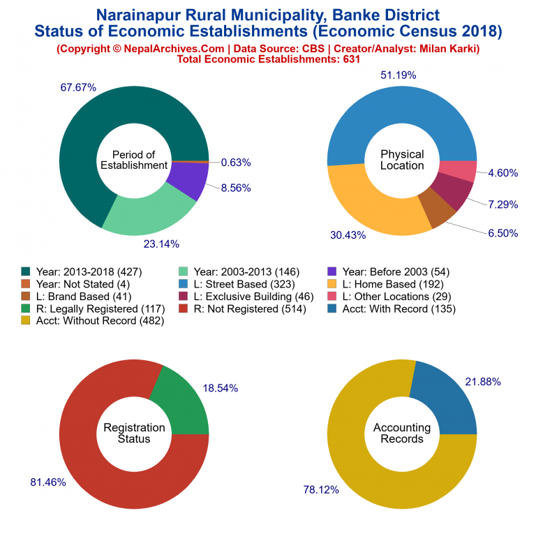 NEC 2018 Economic Establishments Charts of Narainapur Rural Municipality