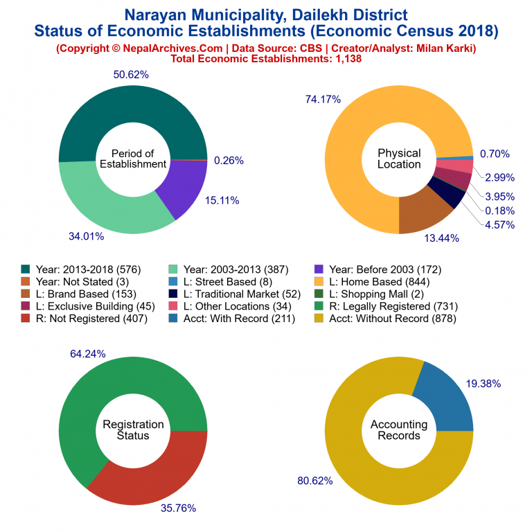 NEC 2018 Economic Establishments Charts of Narayan Municipality
