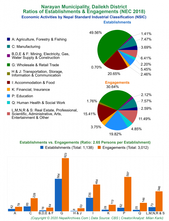 Economic Activities by NSIC Charts of Narayan Municipality