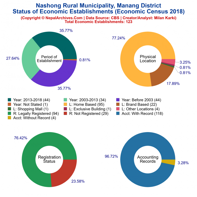 NEC 2018 Economic Establishments Charts of Nashong Rural Municipality