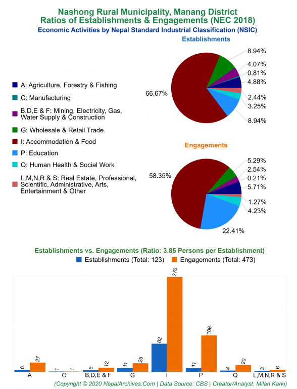 Economic Activities by NSIC Charts of Nashong Rural Municipality