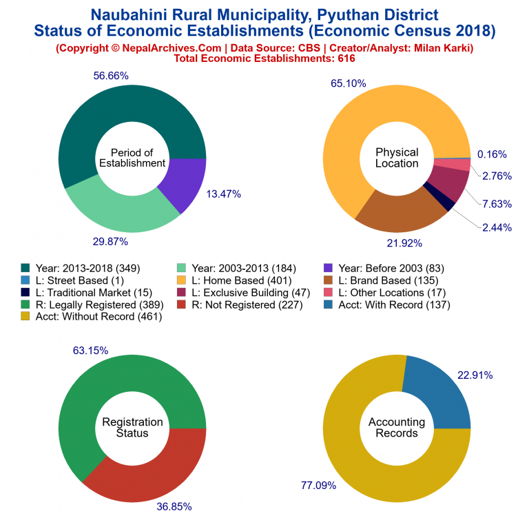 NEC 2018 Economic Establishments Charts of Naubahini Rural Municipality