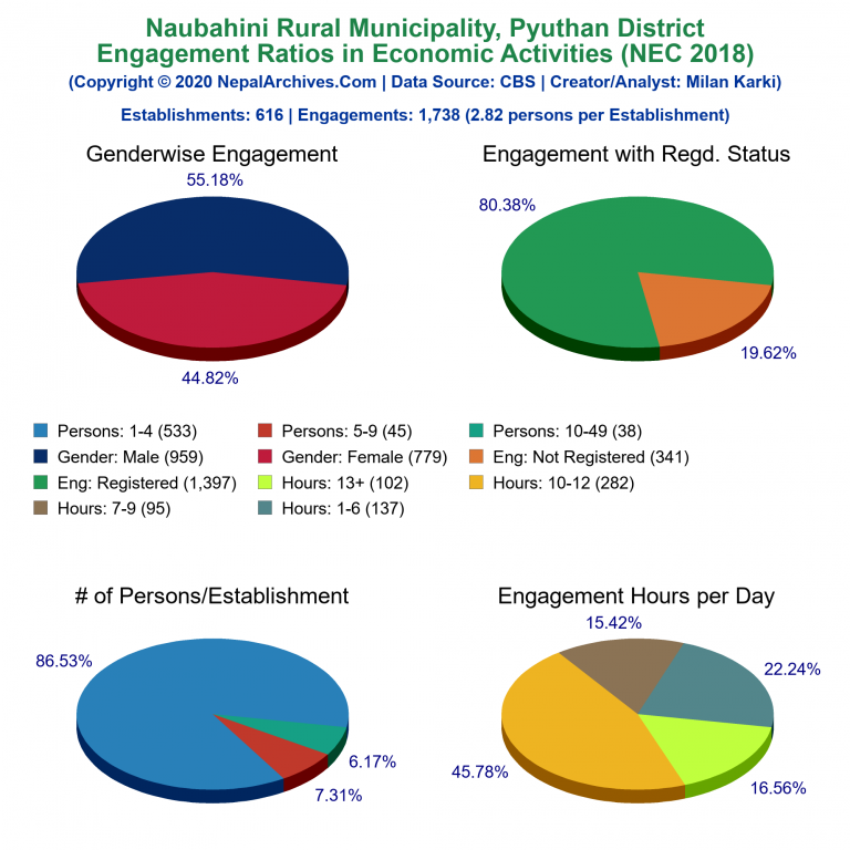 NEC 2018 Economic Engagements Charts of Naubahini Rural Municipality