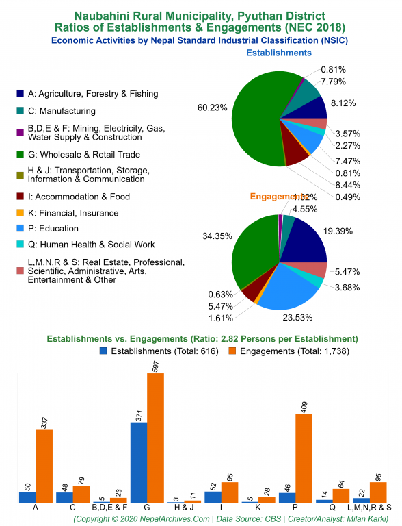 Economic Activities by NSIC Charts of Naubahini Rural Municipality