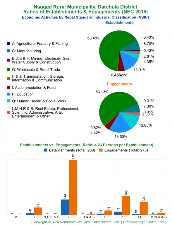 Economic Activities by NSIC Charts of Naugad Rural Municipality