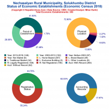 Nechasalyan Rural Municipality (Solukhumbu) | Economic Census 2018