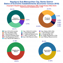 Nepalgunj Sub-Metropolitan City (Banke) | Economic Census 2018