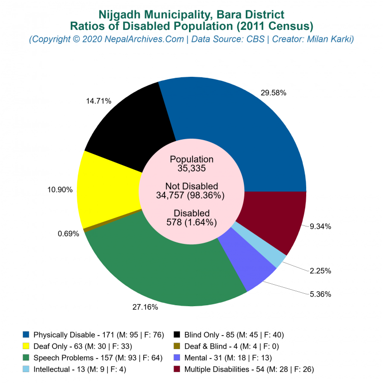 Disabled Population Charts of Nijgadh Municipality