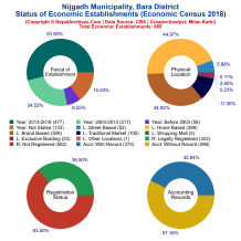 Nijgadh Municipality (Bara) | Economic Census 2018
