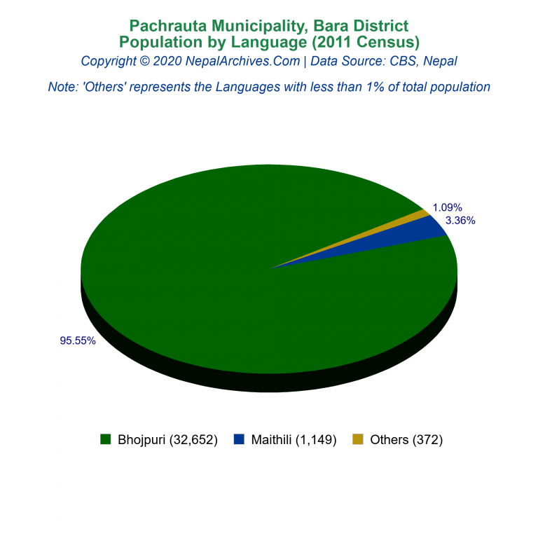 Population by Language Chart of Pachrauta Municipality