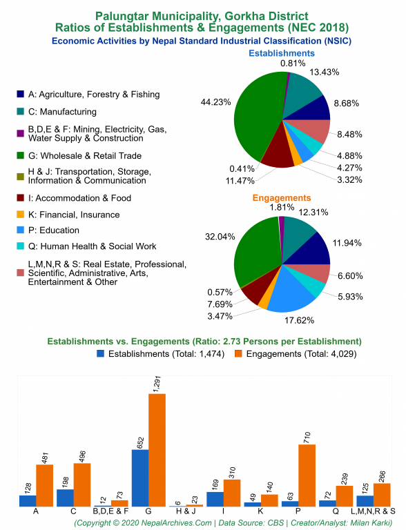 Economic Activities by NSIC Charts of Palungtar Municipality