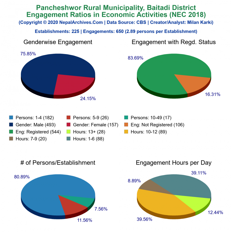 NEC 2018 Economic Engagements Charts of Pancheshwor Rural Municipality