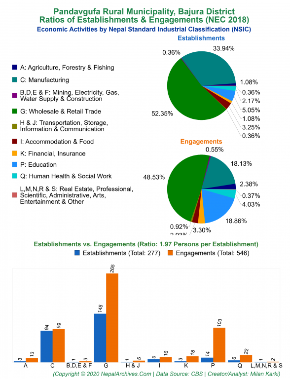 Economic Activities by NSIC Charts of Pandavgufa Rural Municipality
